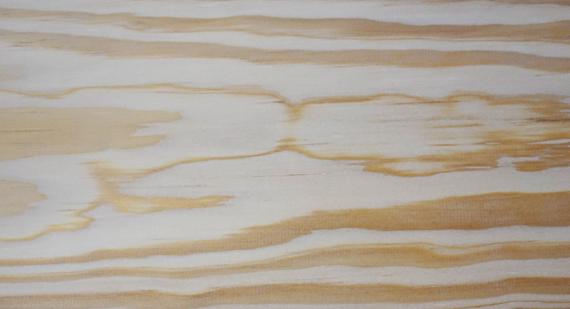 イエローパイン