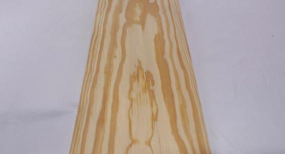 イエローパイン