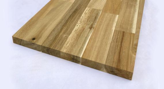 アカシア(節有)