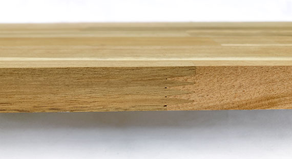 アカシア(節有)