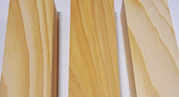 ベイツガ(ヘムロック)