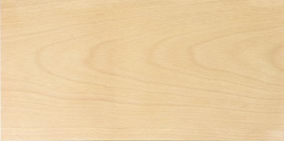 ビーチ(ヨーロピアンブナ)